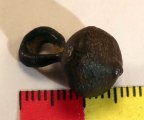 (image for) Tudor Button