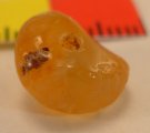 (image for) Persian Bead