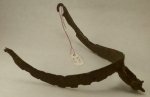 (image for) Fourteenth Century Spur