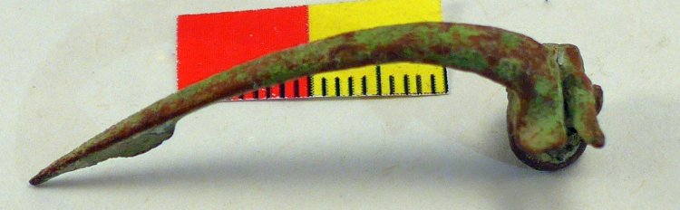(image for) Colchester Fibula - Click Image to Close
