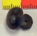 (image for) Tudor Button