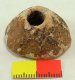 (image for) Spindle Whorl