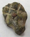 (image for) Zoomorphic Belt Mount