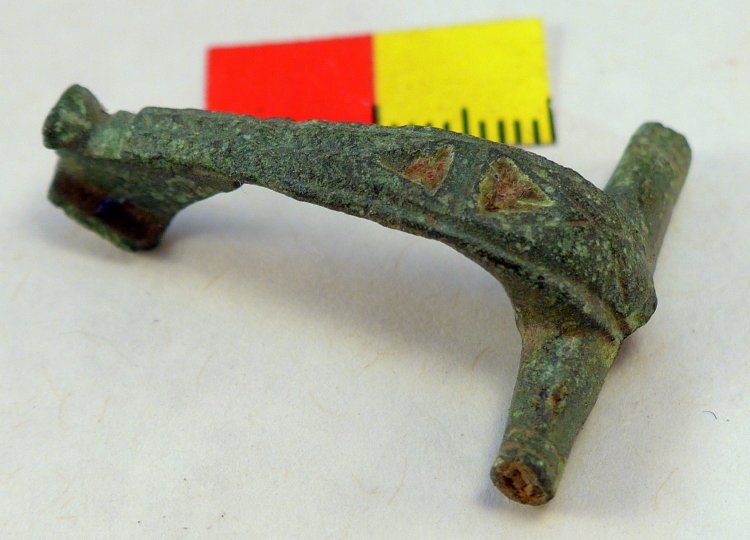 (image for) T-Shaped Fibula - Click Image to Close