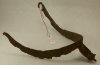 (image for) Fourteenth Century Spur