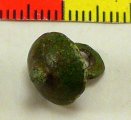 (image for) 15-16th Century Button