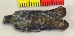(image for) Tudor Book Clasp